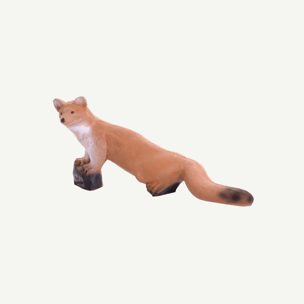 100416 IBB 3D Target walking beech marten