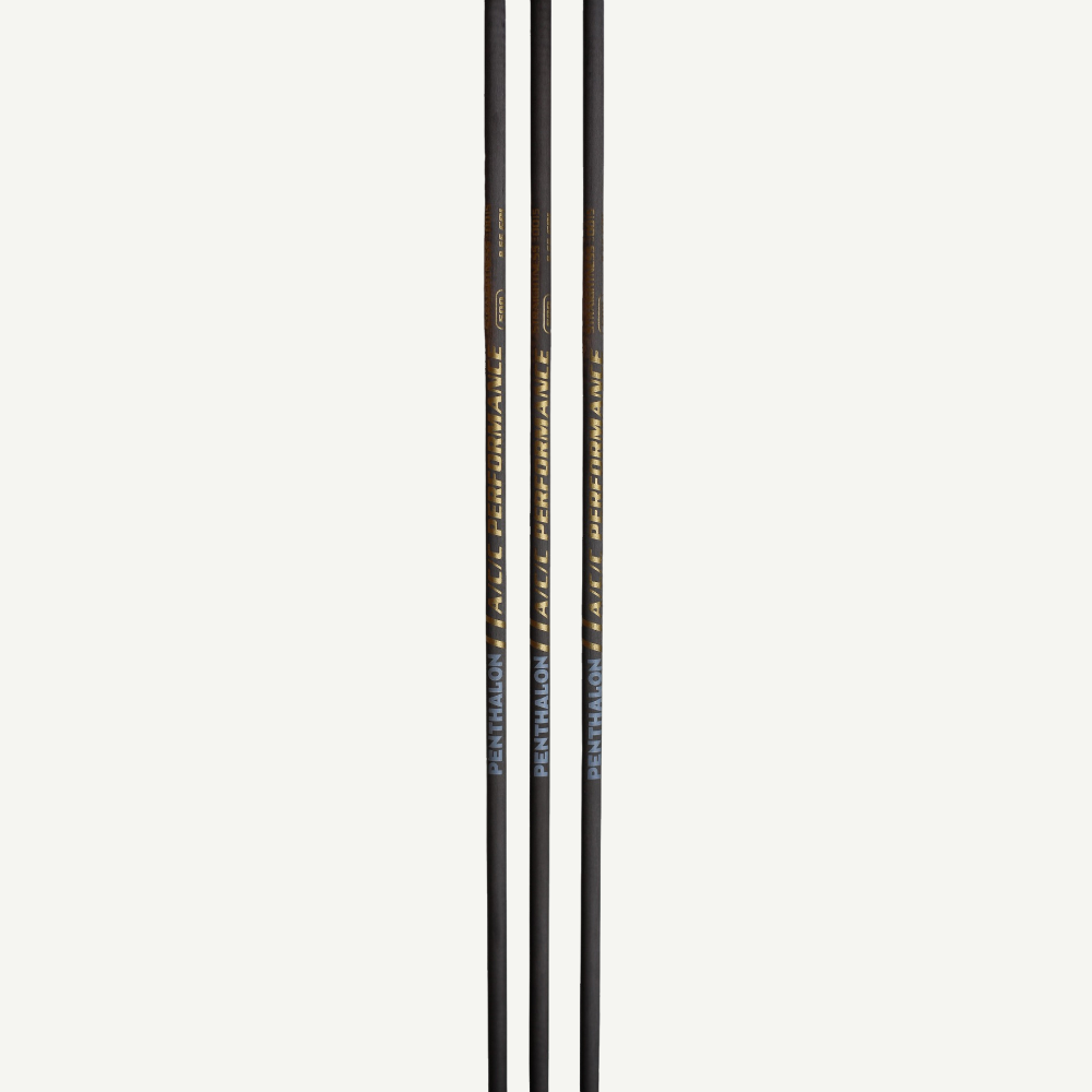 100521 Penthalon Performance A/C/C Aluminium-Carbon Spitze
