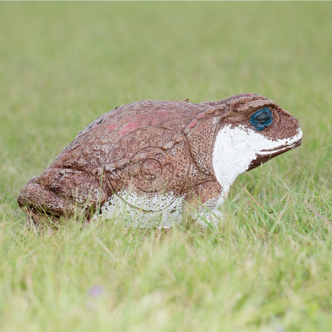 100981 Wildcrete 3D Target - Cane Toad