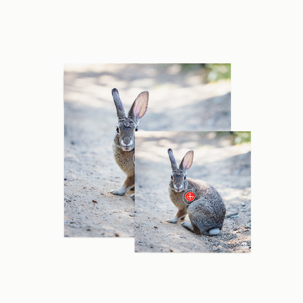 100083 Tierbild Zielscheibenauflage