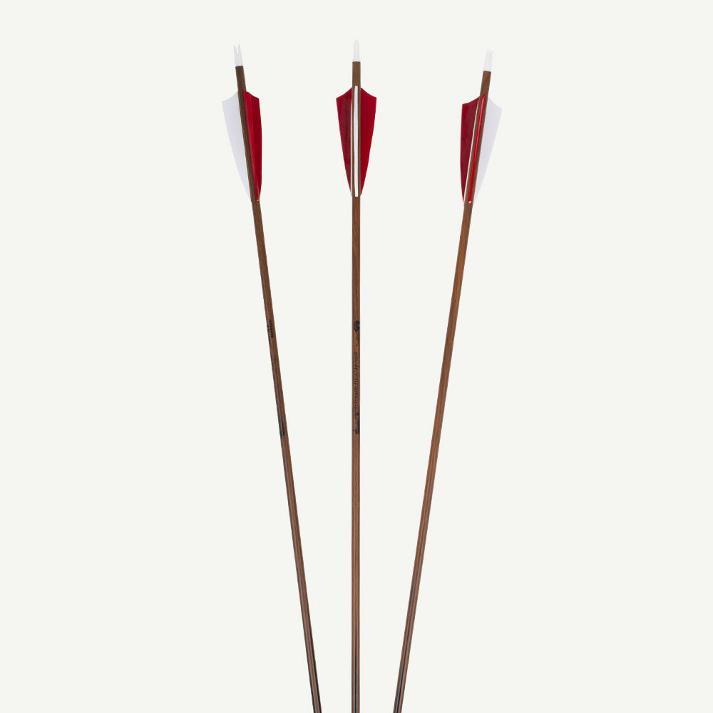 Penthalon Carbonpfeile 40814 Heavy Hunter Naturfedern