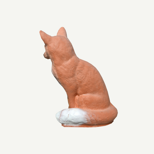 100408 IBB 3D sitting Fox