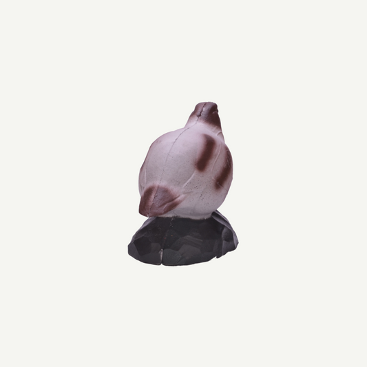 100410 IBB 3D Target Partridge