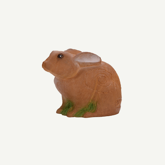 100411 IBB 3D Target European hare crouching