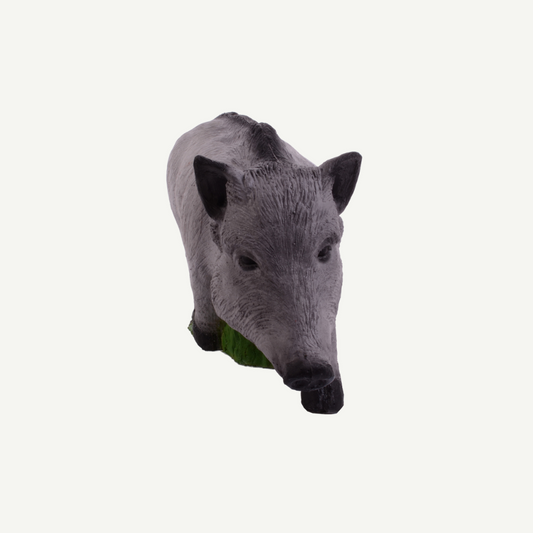 100412 IBB 3D target young wild boar