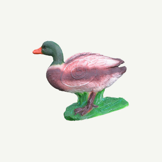 100424 IBB 3D Target Drake