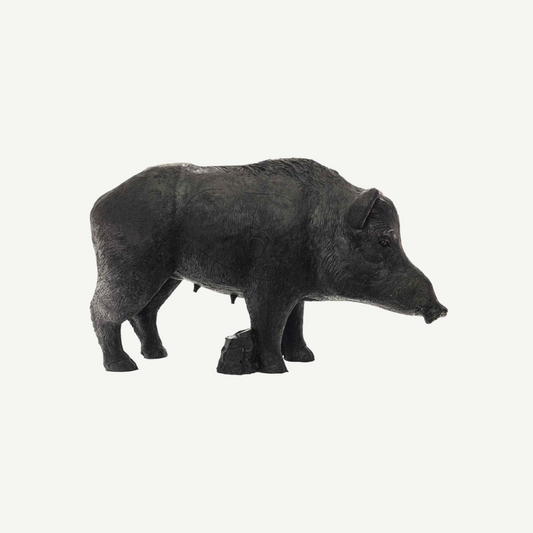 100505 IBB 3D old adults Wild Boar Sow