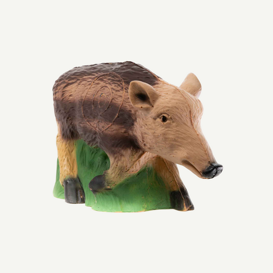 100502 IBB 3D target small young Boar