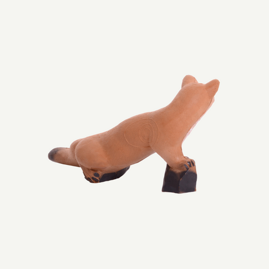 100416 IBB 3D Target walking beech marten
