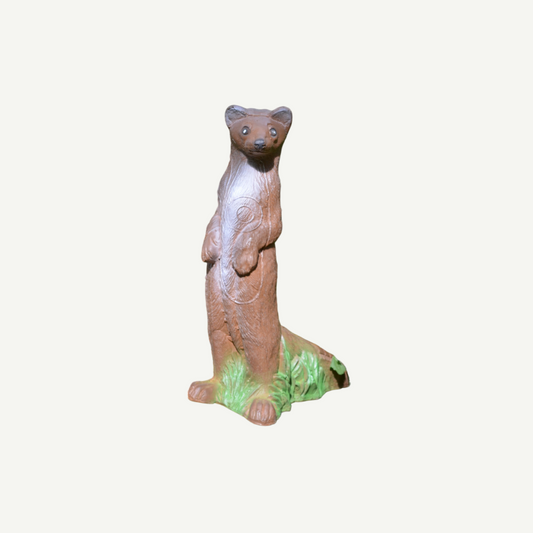 100419 IBB 3D Target beech marten