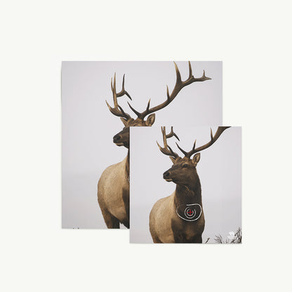 100083 Animal Target Face