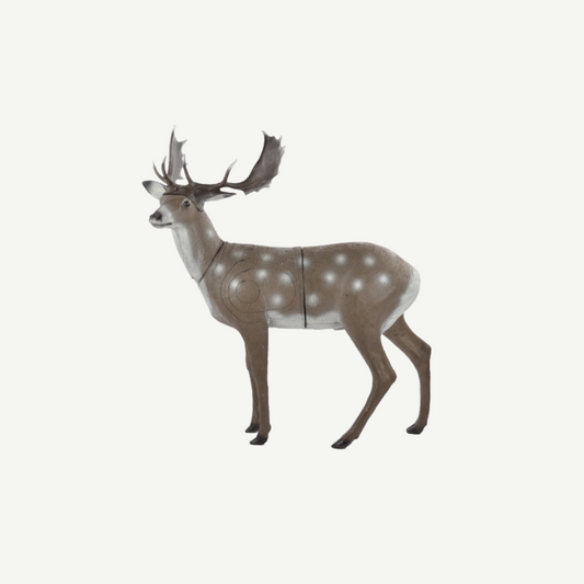 60239 3D Target Franzbogen Standing Fallow Deer