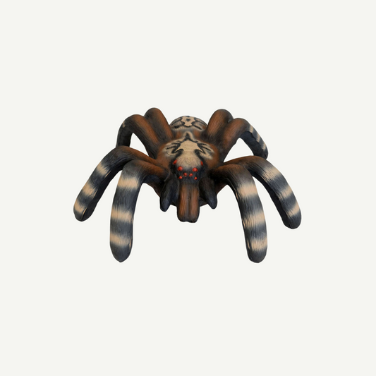 100373 Leitold Little Bird Spider
