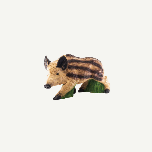 100503 IBB 3D target young Boar