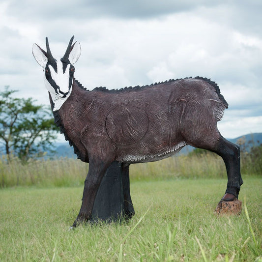 100984 Wildcrete 3D Target - Chamois Female